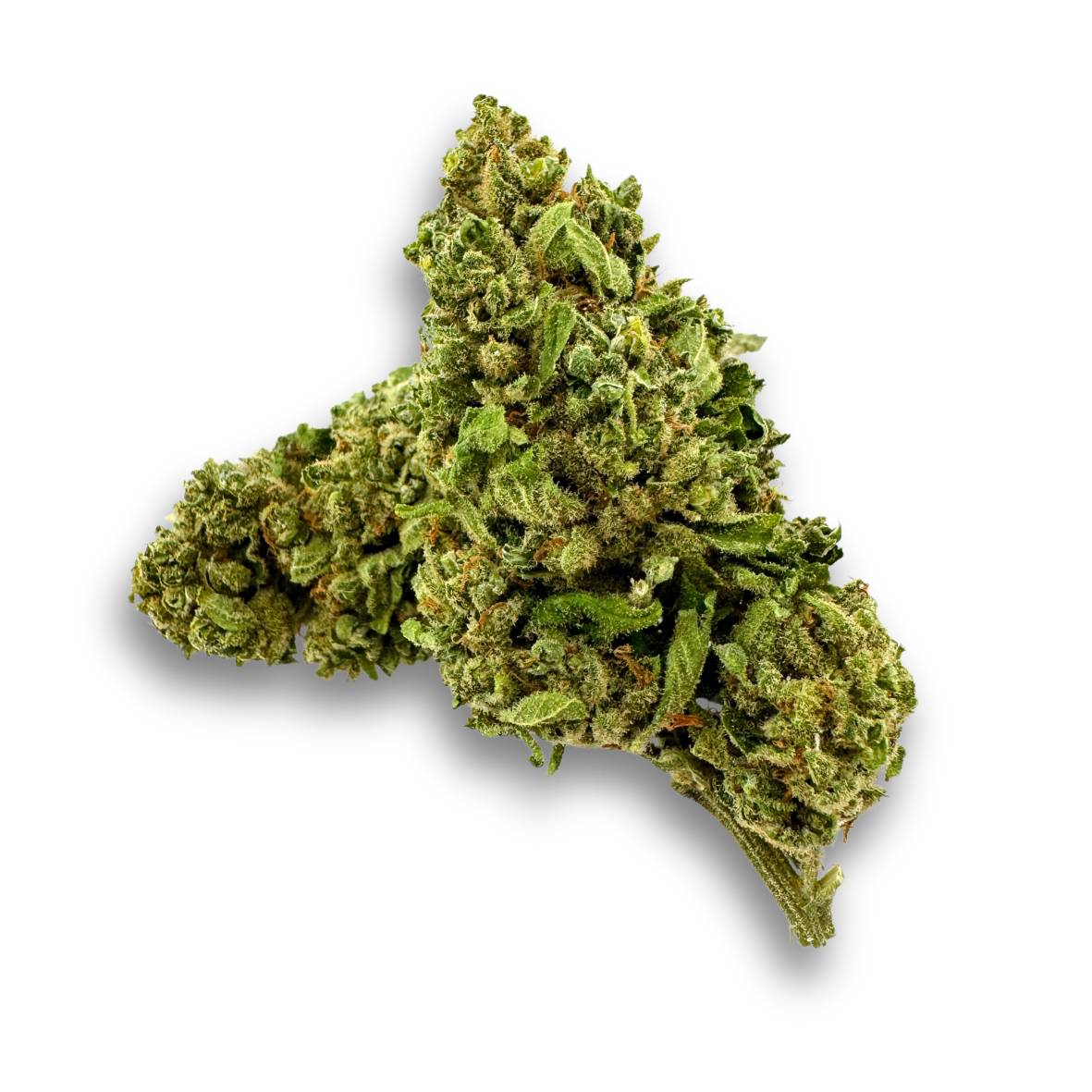 Berry Kush Bulkgoederen