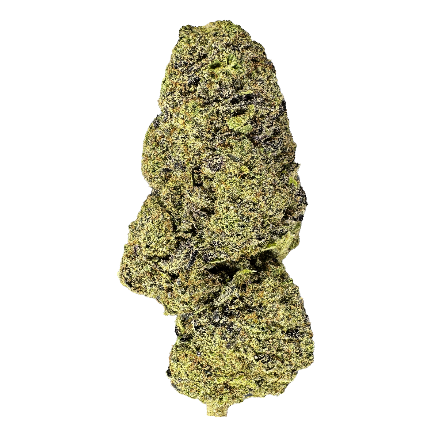 California Blueberry ecopakket