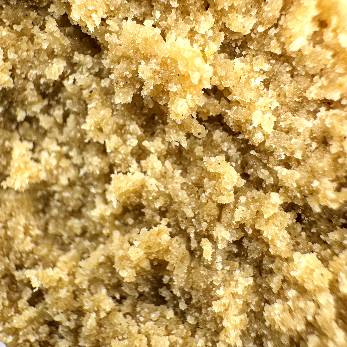 California Blueberry ecopakket