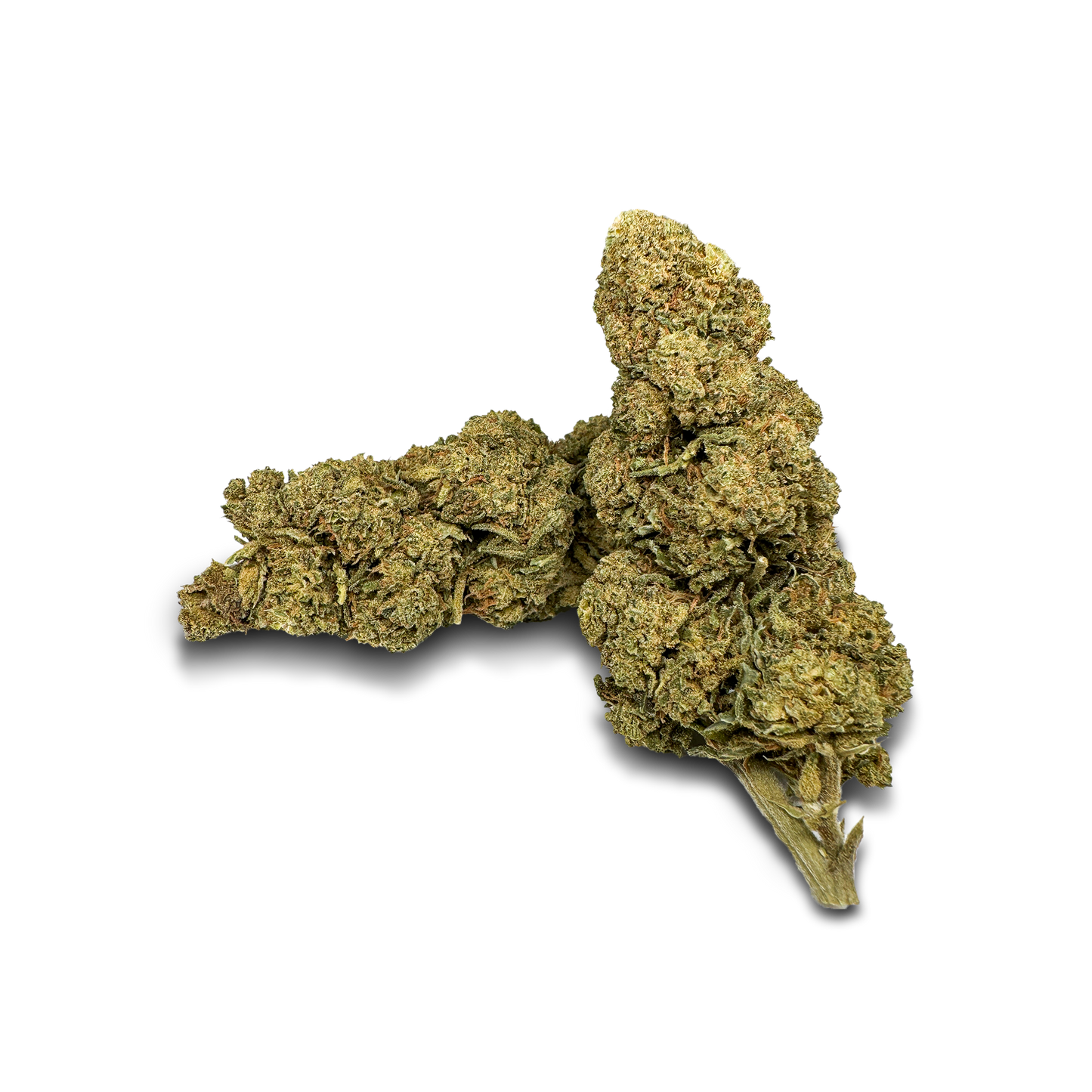Orange Bud Bulkgoederen