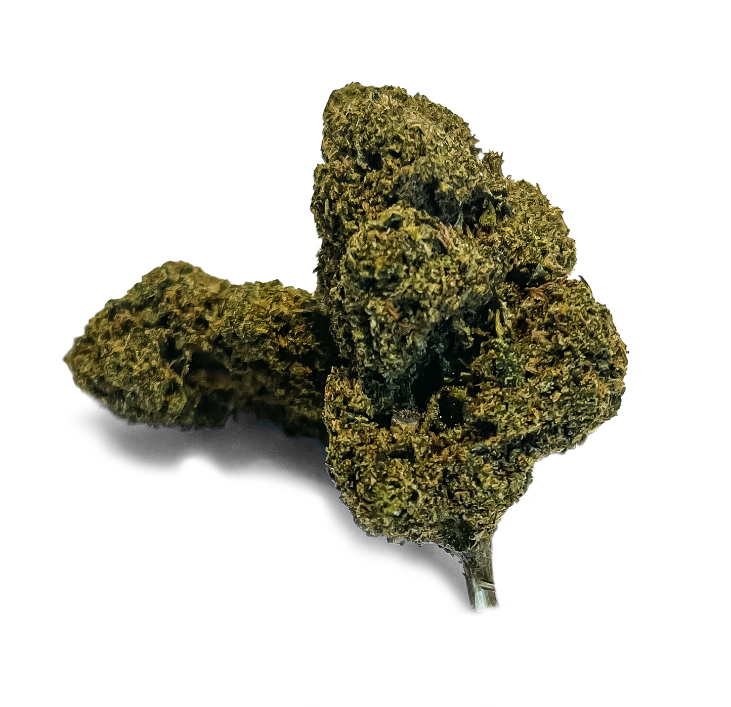 Silver Haze Bulkgoederen