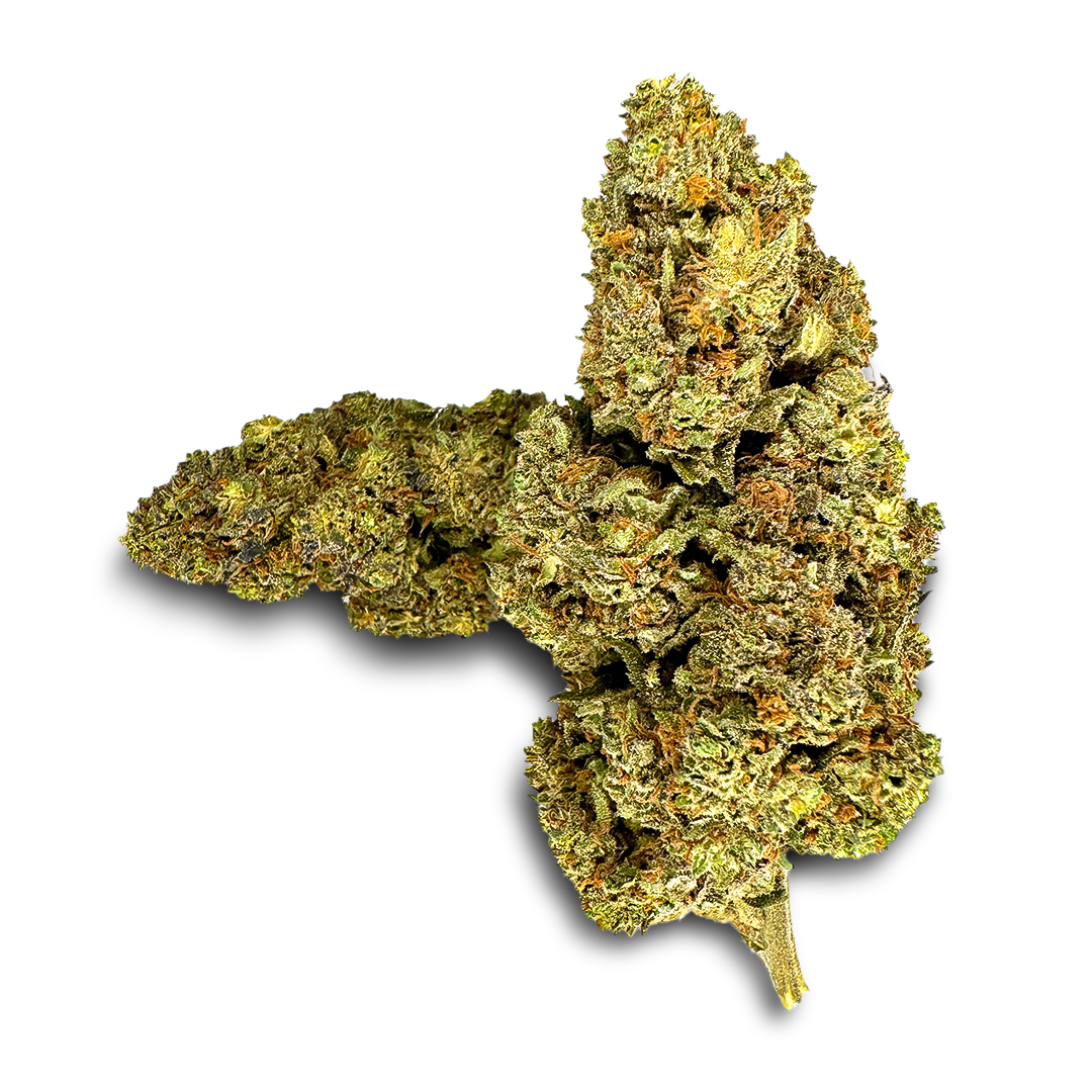 California Blueberry ecopakket