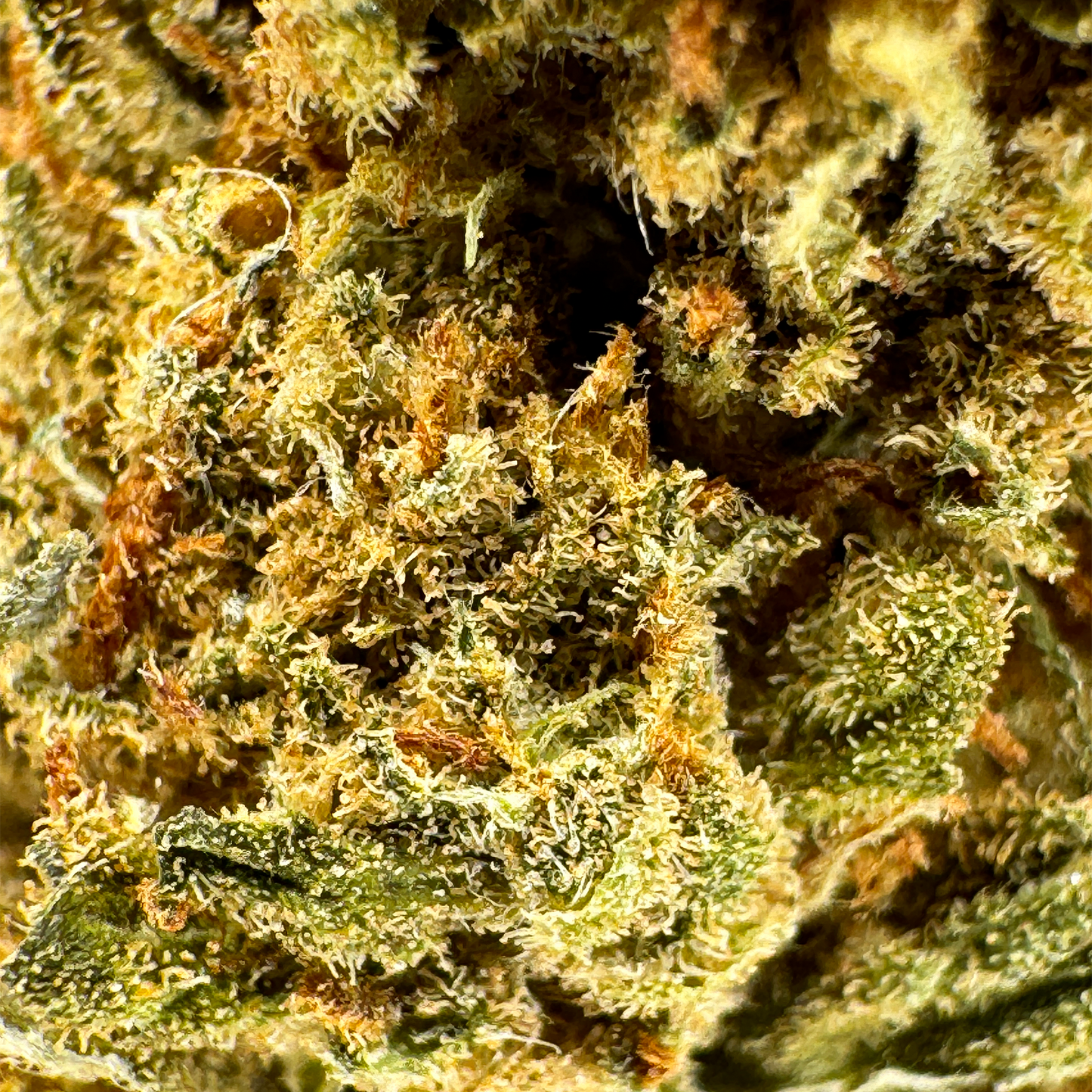 Super lemon Haze Bulkgoederen