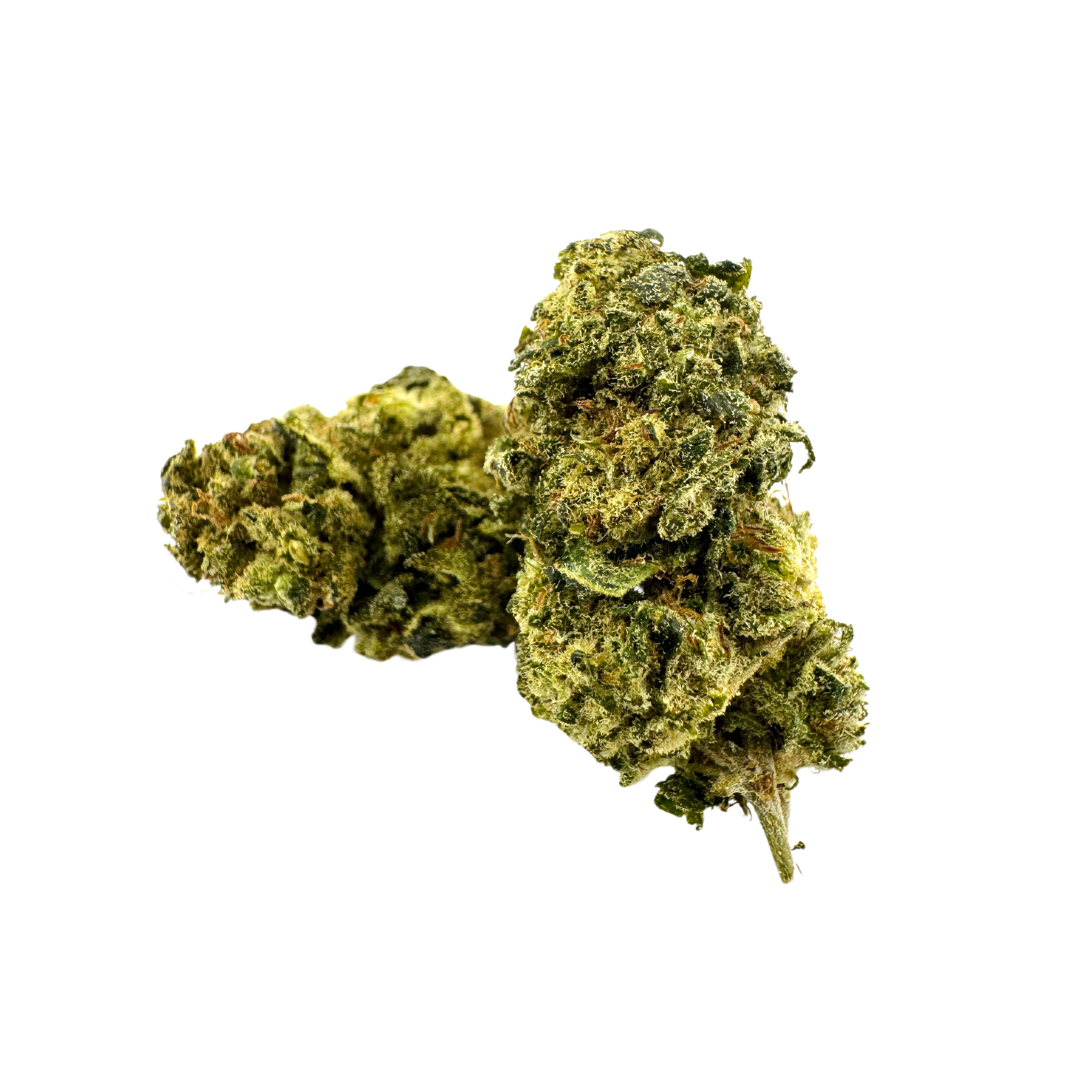 California Blueberry ecopakket