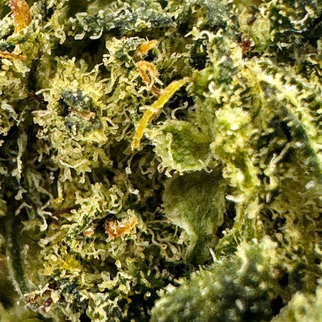 Berry Kush Bulkgoederen