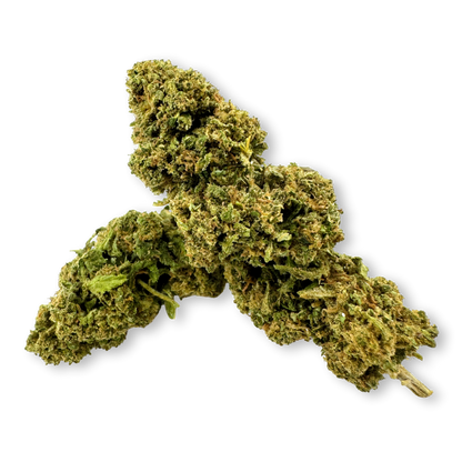 California Blueberry eco pack