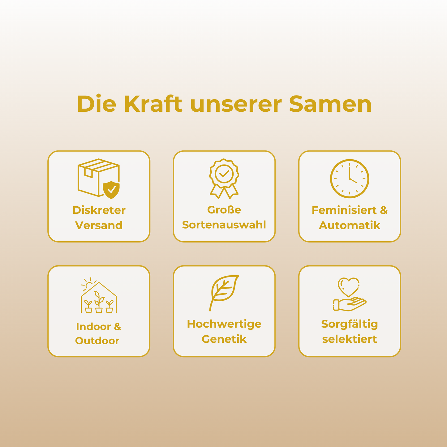 Black Lemon Samen Automatik