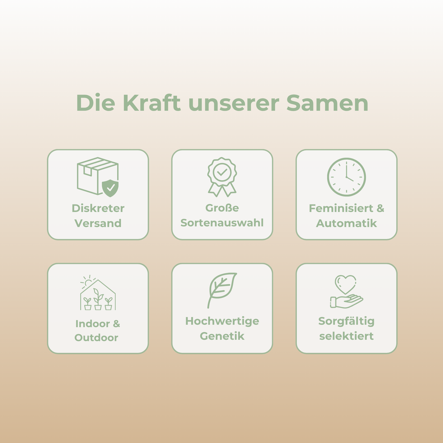 Jack Herer Samen Automatik