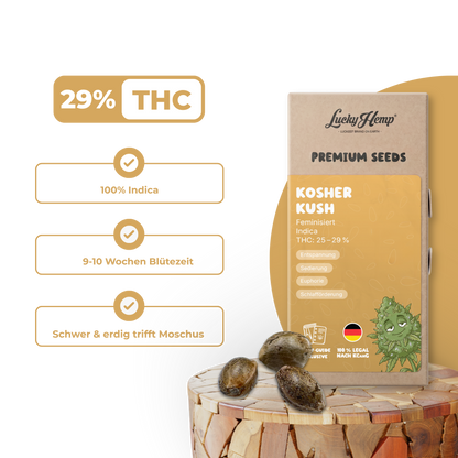 Kosher Kush Samen Feminisiert