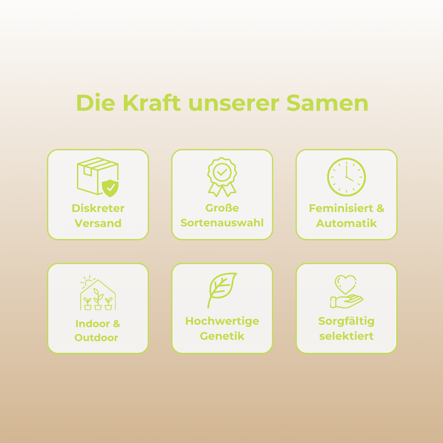 Lemon Lime Samen Automatik