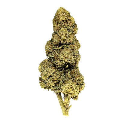 Orange Bud Bulkgoederen