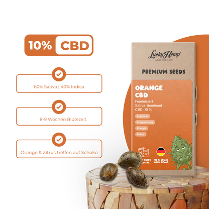 Orange CBD Samen Feminisiert