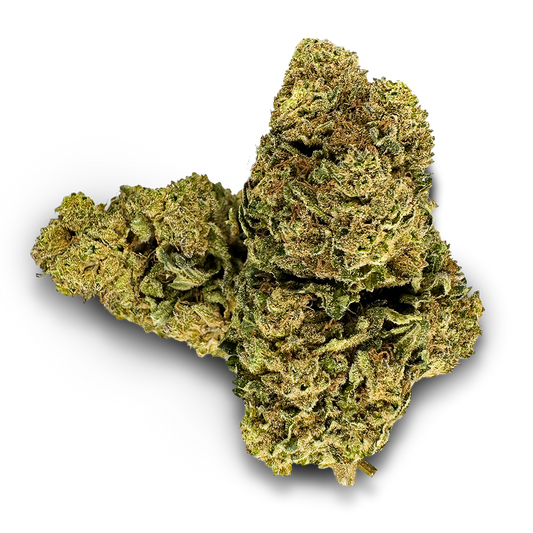 Power Plant Ökopack Blüten Lucky Hemp