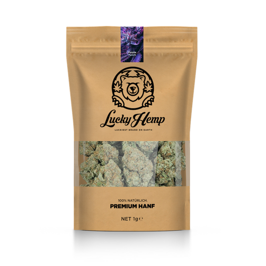 California Blueberry ecopakket