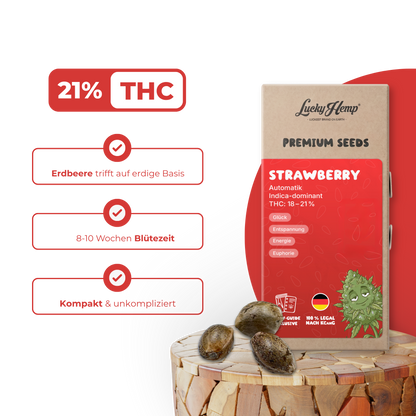 Strawberry Samen Automatik