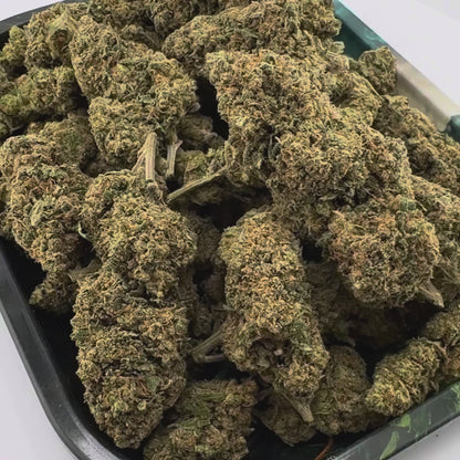 Berry Kush Bulkgoederen