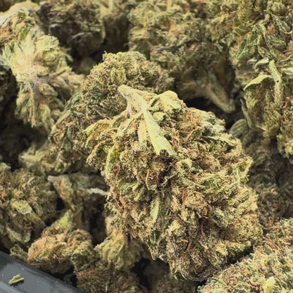 Berry Kush Bulkgoederen