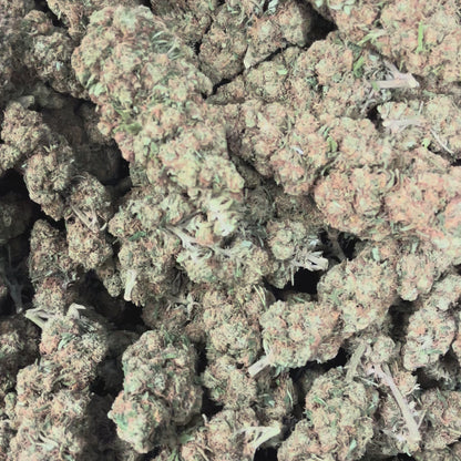 Berry Kush Bulk goods