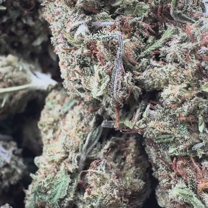 Berry Kush Bulkgoederen