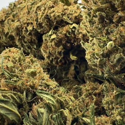 Lemon OG Bulkware