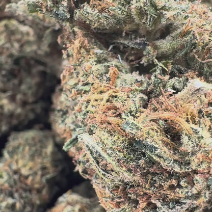 Berry Kush Bulkgoederen